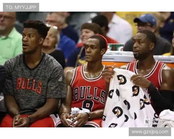 南京羽毛球队逆袭之路欧锦赛特别报道展现拼搏精神与团队力量