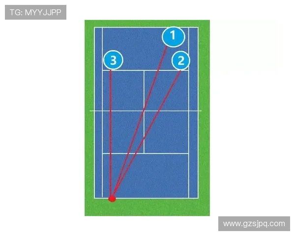 杭州网球队进攻策略解析与战术创新探讨